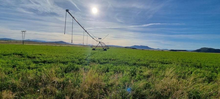 4 Bedroom Property for Sale in Queenstown Rural Eastern Cape